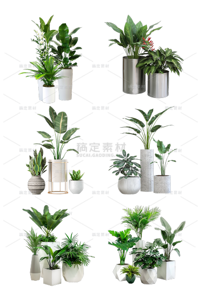 植物实景多个绿植盆栽元素素材
