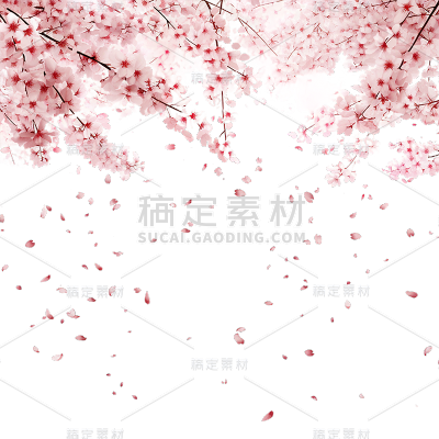 植物通用实景樱花花枝飘花瓣元素素材