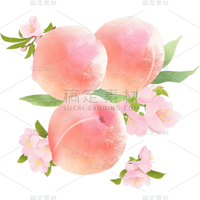 果蔬系列-通用-桃枝/桃花和桃子插画贴纸