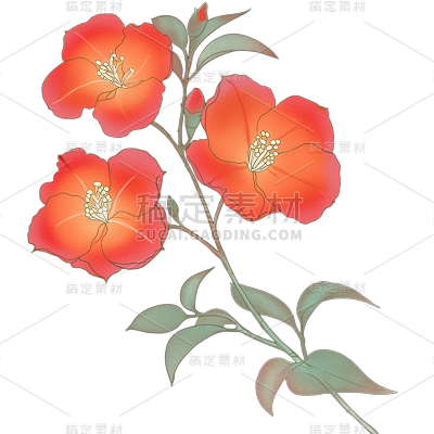 植物通用清新插画花朵元素素材