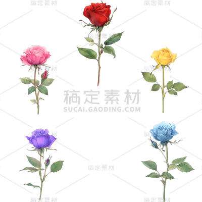 植物通用写实插画单枝玫瑰元素素材