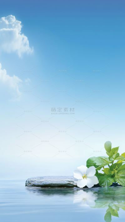 背景系列清新感水面植物渐变岩石展台
