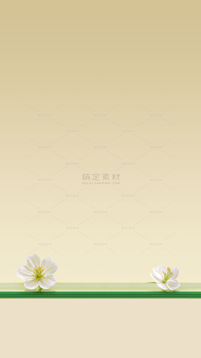 常规背景系列实景风苦橙水杯展台背景