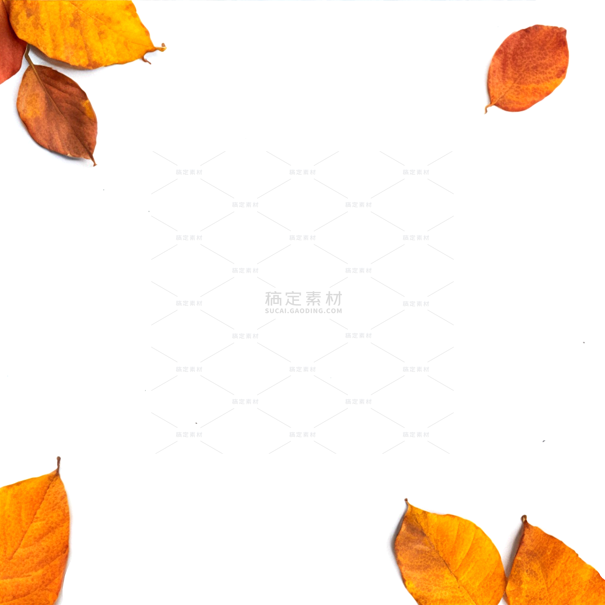 insMind Fall Season Background