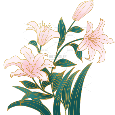 植物系列国潮风金线描边百合花花枝元素