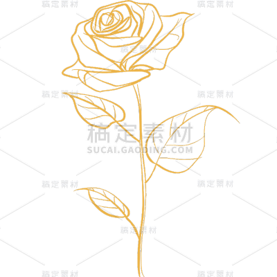 植物插画黄色线条玫瑰花元素素材