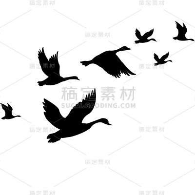 动物系列通用插画分散鸟剪影贴纸