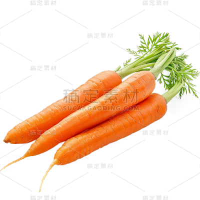 果蔬系列通用-写实蔬菜胡萝卜元素素材
