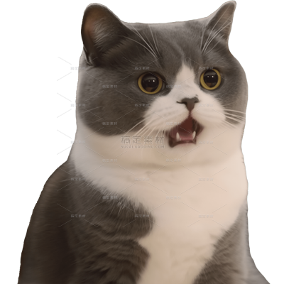 小红书meme搞怪爆款封面动物猫咪贴纸