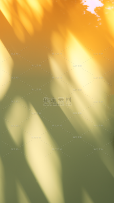 通用自然柔和光影背景