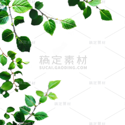 植树节实景绿植植物边框元素素材