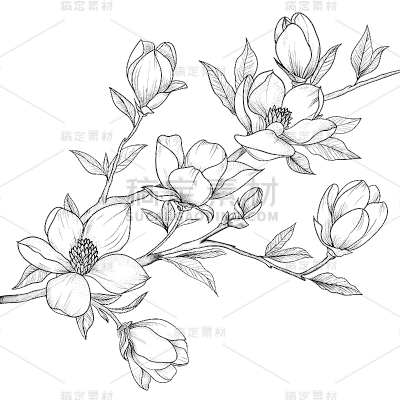 常规系列通用插画线条鲜花元素素材