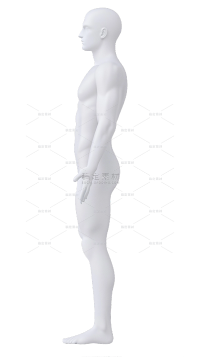 人物系列3D立体感人体建模（td）