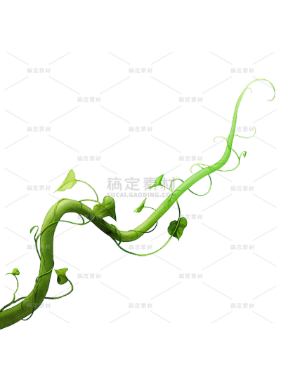 植物系列插画风弯曲缠绕叶子藤蔓元素