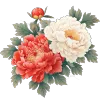 芍药花海
