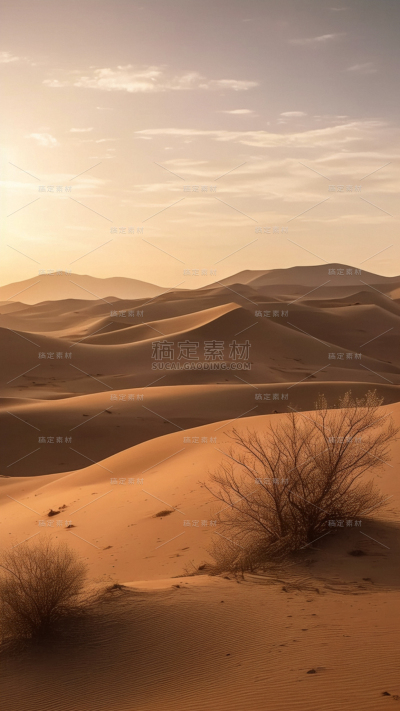 风光通用沙漠背景图片素材